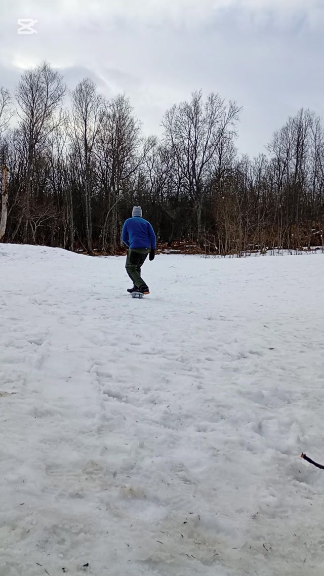 Snowskate prototype