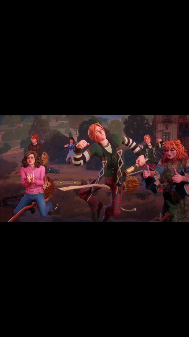 Harry Potter Quidditch Fair Play 