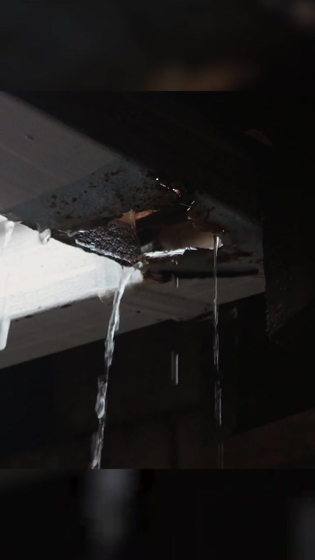 Water Damage Restoration Seattle | Emergency Disaster Recovery Experts