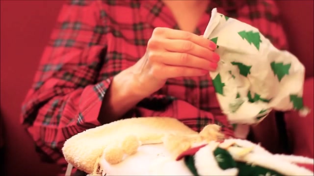 -Feliz Navidad — José Feliciano -