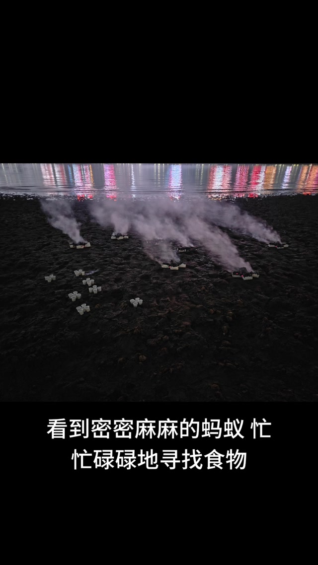 玄幻修真小说《全身金刚》第119章 带着孩子家人去喂蚂蚁，嗡班扎尔萨埵吽唵呼嚧呼嚧社曳穆契娑诃唵度宁度宁迦度宁莎诃