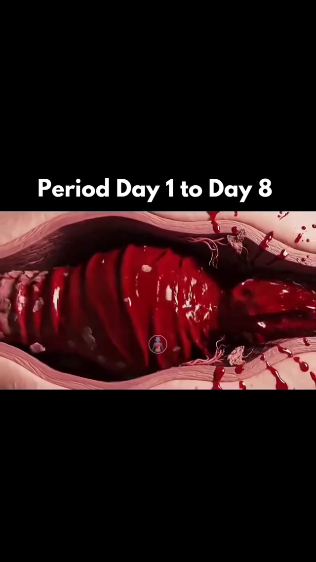 Period from day1 to day8 