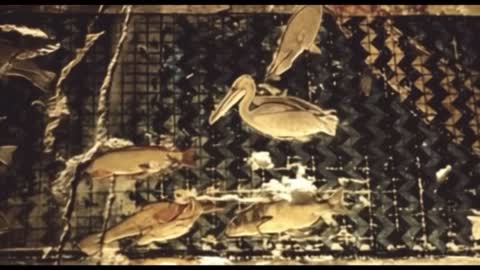 Hermes - EMERALD ISLE (OFFICIAL VISUALIZER)