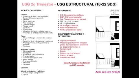 SEGUNDO TRIMESTRE
