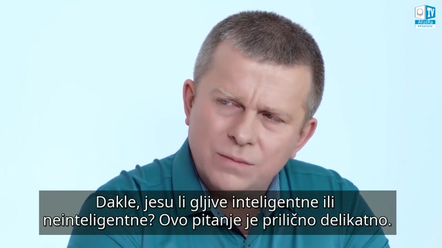 Egregor