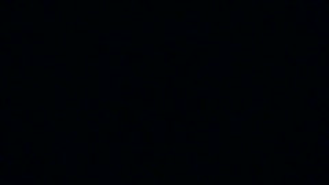 VID_20260219_184243 sub to Harlow favs shout out to harlowfavs 