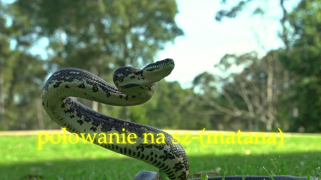 inny niż inni - polowanie na szatana