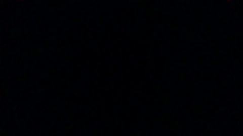 VID_20260220_124742###im a dog doddoddoooo