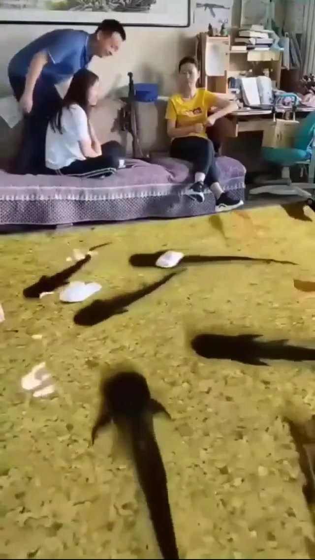 Шок!Ты такое видел!!!