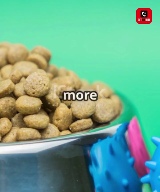 Pets food now listed in Getondial