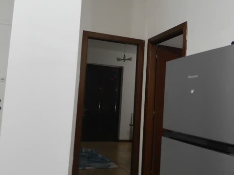 DEMOGRAFIA ITALIA 2026 