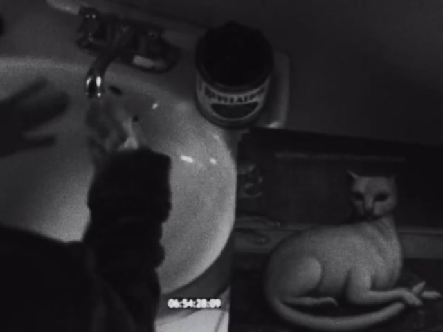 Mitski Nothing’s About To Happen To Me Lilac Vinyl Bundle Signed IN HAND