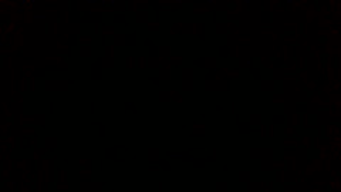 VID_20260219_185148 I'm in your dreams divas#lol