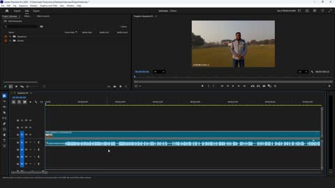 Premiere Pro 2026: Pro Workflow & Organization for Vlogs and Interviews Part 2
