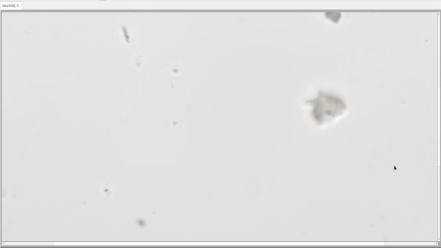 main Assesment at 60h  18.4*C