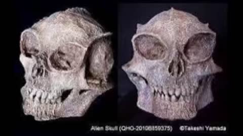 Miyamoto Musashi - MAO ZEDONG [prod. 火影忍者 Aka Naruto]