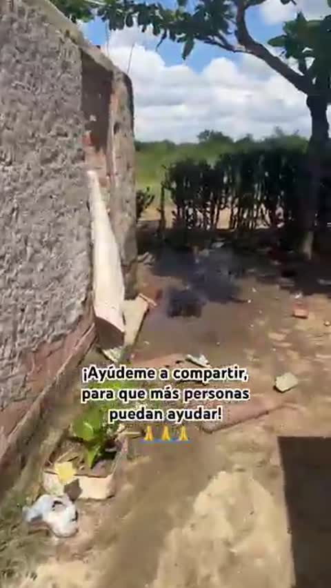 Esta_es_la_familia_de_Palancón,_que_perdió_todo_el_techo_de_su_casa.__5353266065_#cuba_#cubanos(360p)