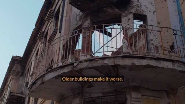 Why Singapore's Infrastructure Makes Rodent Problems Worse