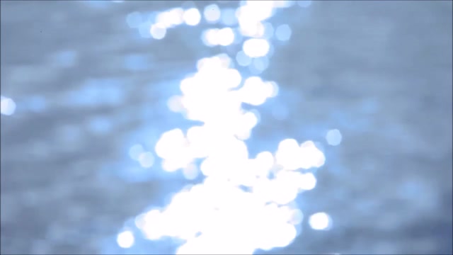 -Evanescence- field of innocence-