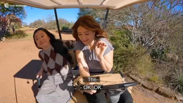 Wild vacay Rentals Ep 03