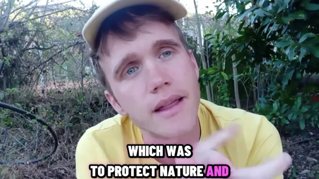 Capitalist Environmentalism vs. Real Environmentalism | Which Is Better?
