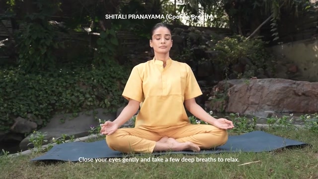 Shitali Pranayama for Stress Relief and Nervous System Calm