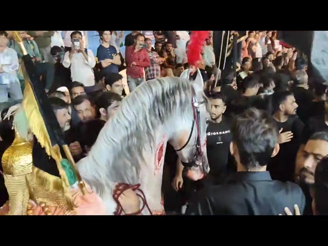 aaa102  .... حصان الامام الحسين مسكن رجع من الحرب عطشان  من خزعبلاات  الشيعة