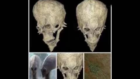 skullcandyrock - magnüm cup [prod. Hades]