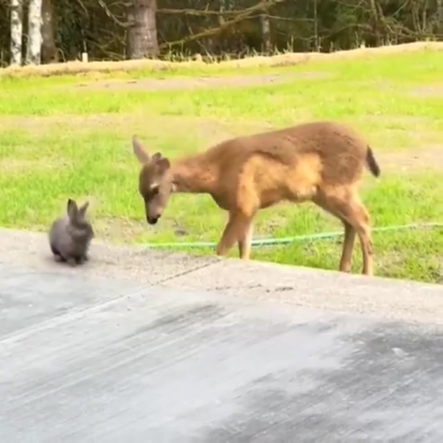 One of the best viral moments on the internet.   Funny, crazy and unexpected things caught on camera.    Don't forget to follow the page for more viral videos every day!  #viralvideo #funnyclips #crazy #viralclips