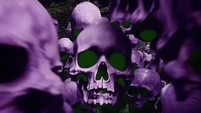 WOCKINWALKINZ! - IM WOCKIN