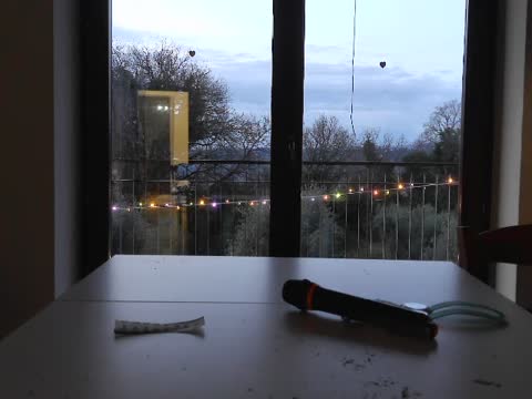 WIN_20260119_07_24_53_Pro