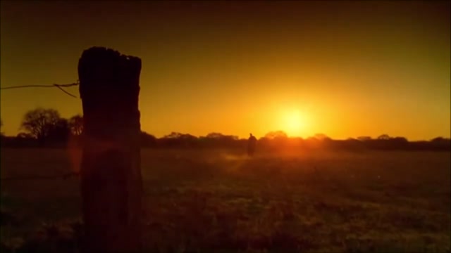 El Grito en la Sangre - género gauchesco -2012