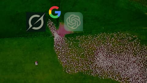 A.N.N.E. Mission and Vision Statement