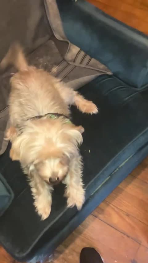 YOU HAPPY TO SEE ME_!