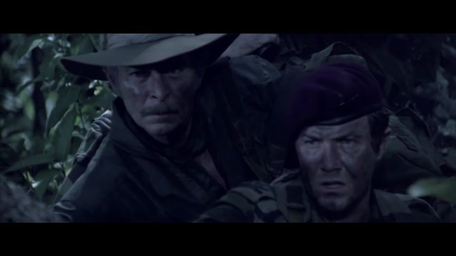 comando-patos-salvajes-1984