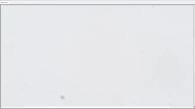 initial-2026-03-04_bacterialCount-1to70