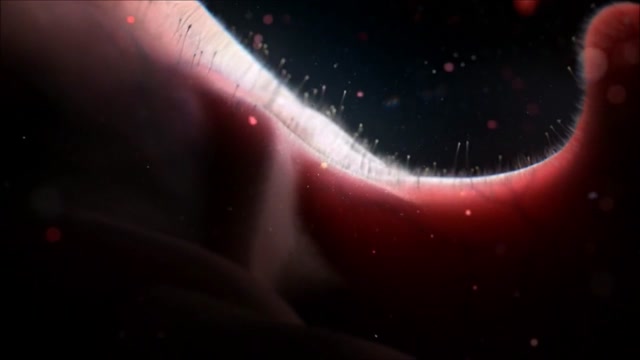 Evanescence - Bring Me To Life (Original Song)