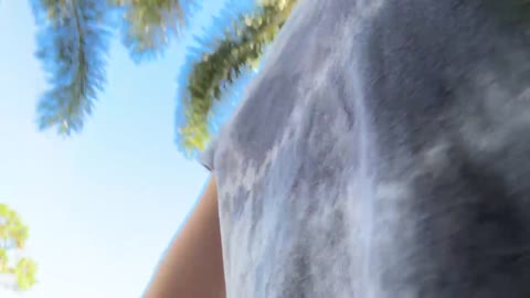 whatupmfs18 (live) 2025-12-29 13_01 [316478906588]