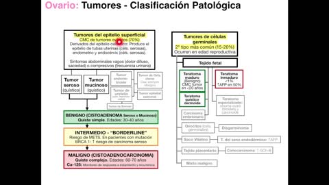 11.2 Imagenologia de los ovarios