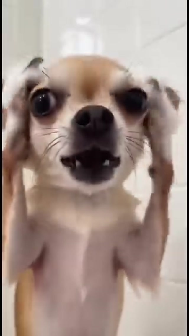 love #instagood #photooftheday #fashion #happy #followme #like4like #instadaily #cute #style #instagram #تفاعل #لايك #فولو #كومنت #نشر #متابعين