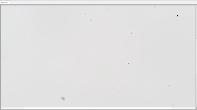 2026-03-26 bacterialCOunt