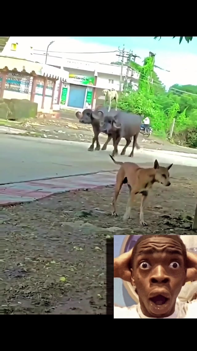 2026-02-10-145512335