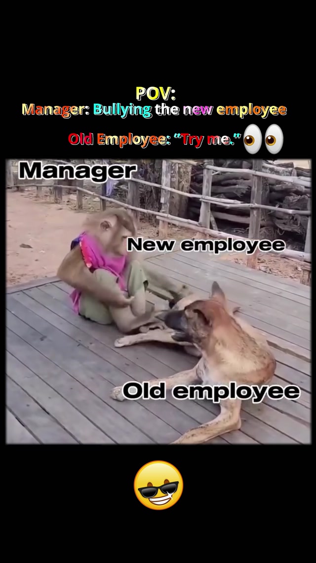 New Employee vs Old Employee vs Manager: How Workplace Behavior Changes Over Time