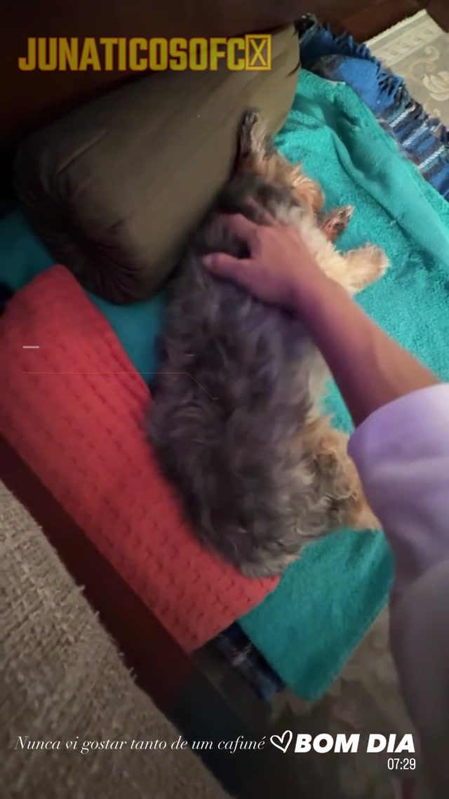 STORIES DA JU DIAS BBB16 26/04/2026