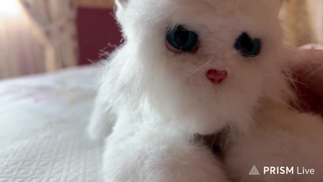 twitch_mercegallardo_2026-04-04 17-10-57_720p_Just Chatting_aloooooo