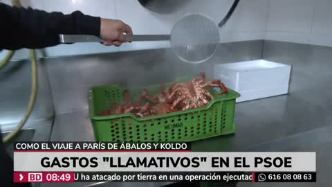 Telemadrid - Buenos días, Madrid (parte 1 de 2) (31-12-2025)