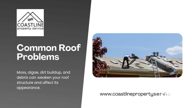 Expert Roof Washing Comox Valley to Remove Moss, Algae & Dirt