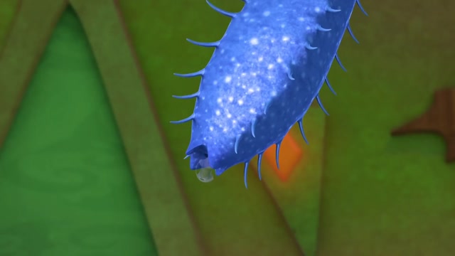 Sabrina: Secrets Of A Teenage Witch - Season 1 Episode 3 (Hebrew)