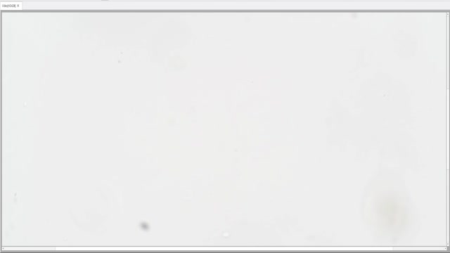 after38_5-bacterialCount1to2_2drops-2026-03-05