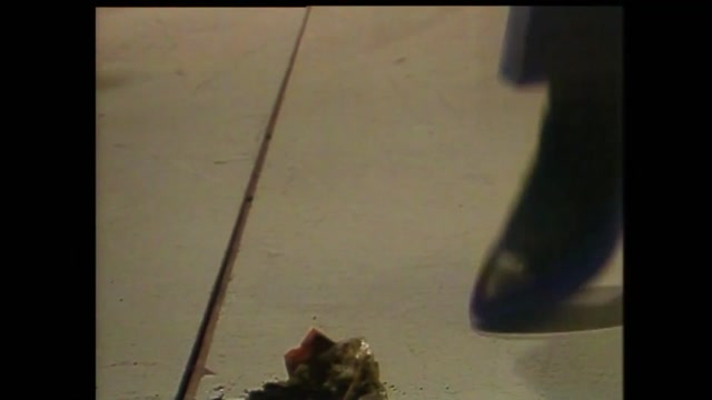 REGALO DEL CIELO - Capítulo 25